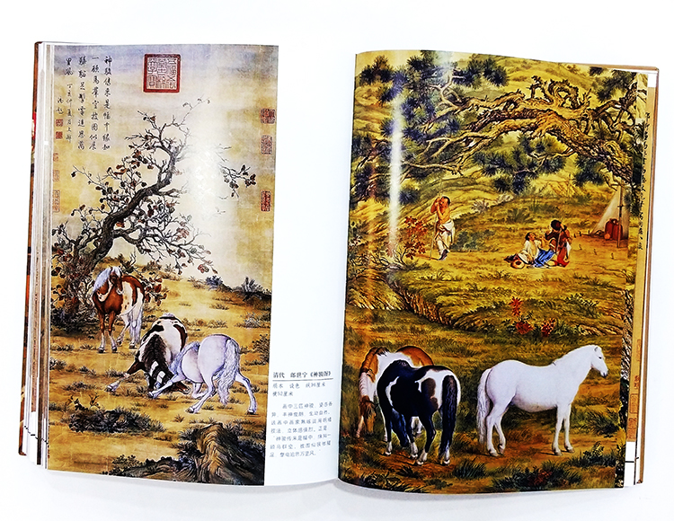 1686924489289053.jpg 实拍8.jpg