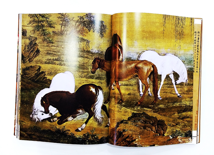 1686924494177812.jpg 实拍10.jpg