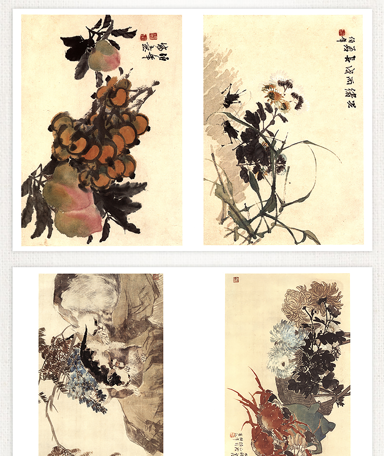 1688562724853004.jpg 详情11.jpg