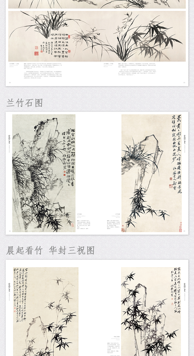 1688698176919986.jpg 详情12.jpg