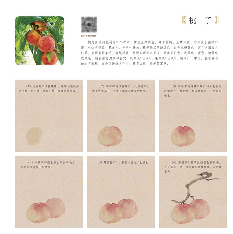 1689415277323177.jpg 详情-07.jpg