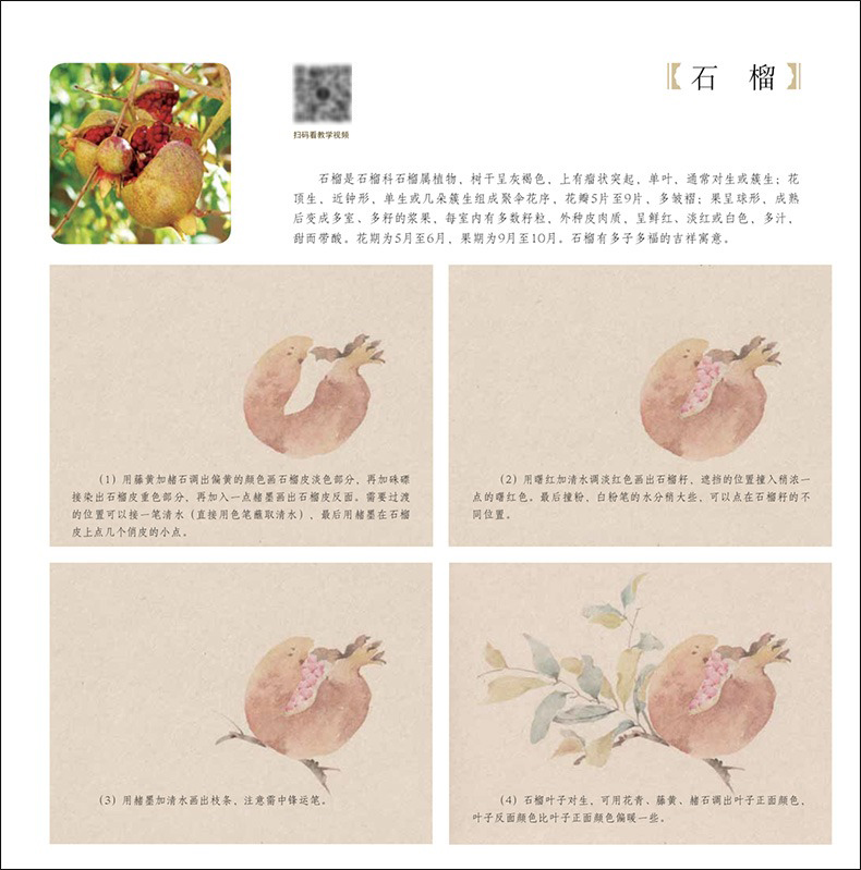 1689415286417081.jpg 详情-09.jpg