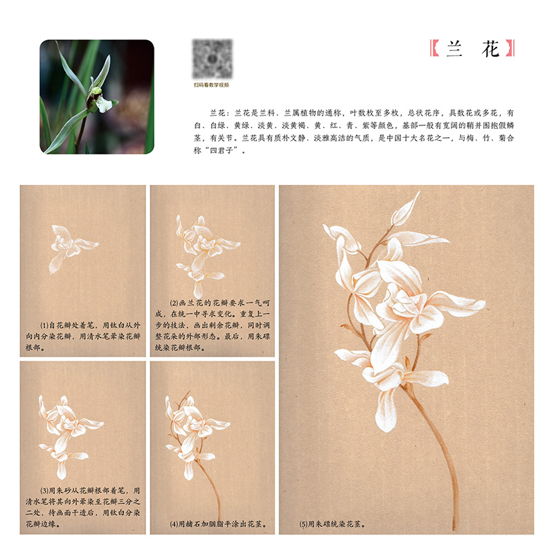 1689416029988731.jpg 详情-05.jpg