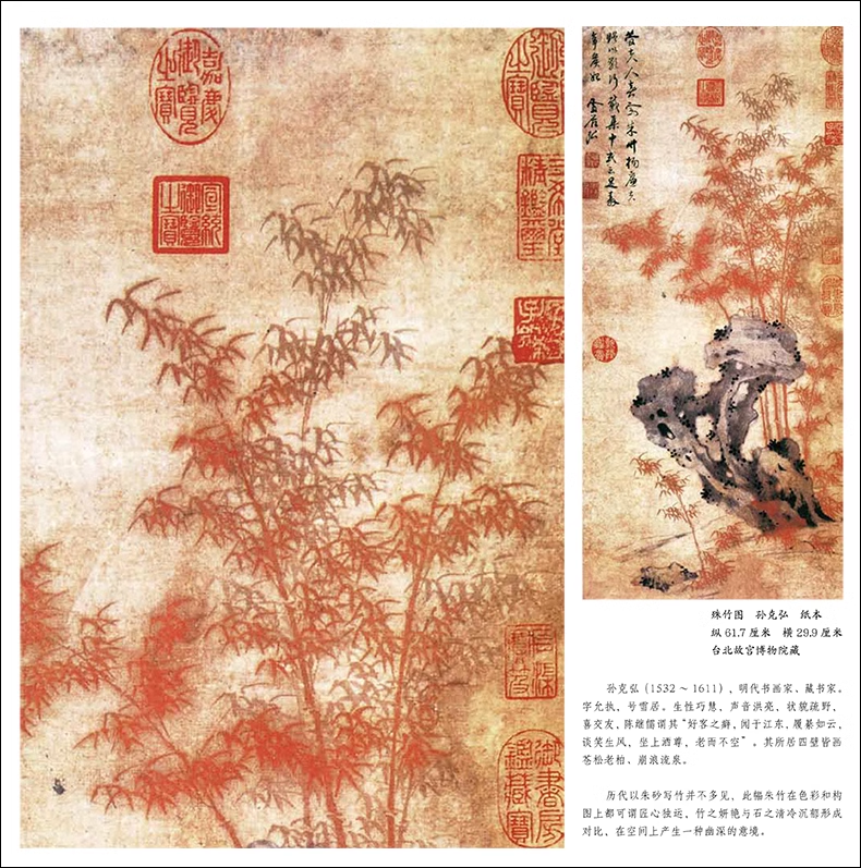 1689416366176231.png 详情-08.png