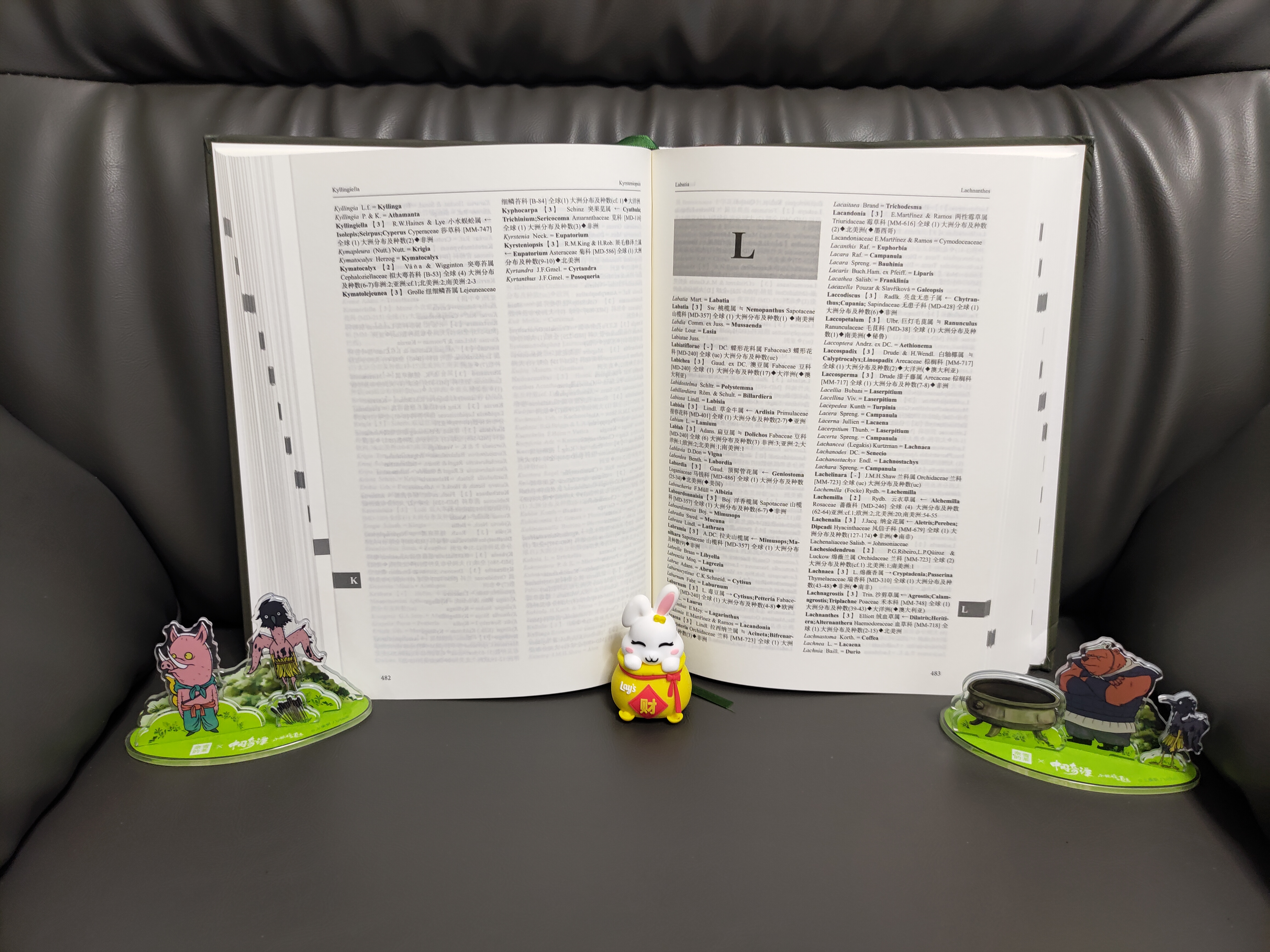 1689757575997106.jpg 实拍5.jpg