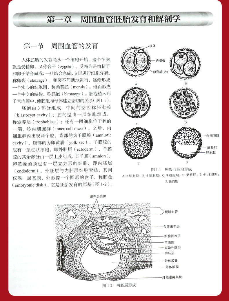 1689925419639975.jpg 详情-10.jpg