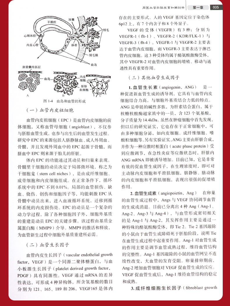 1689925422146720.jpg 详情-11.jpg