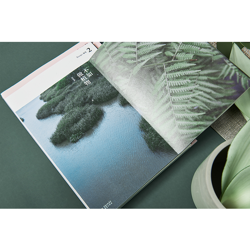 《不如做植物》1+2+3 《不如做植物》1+2+3