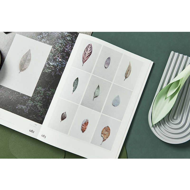 《不如做植物》1+2+3 《不如做植物》1+2+3