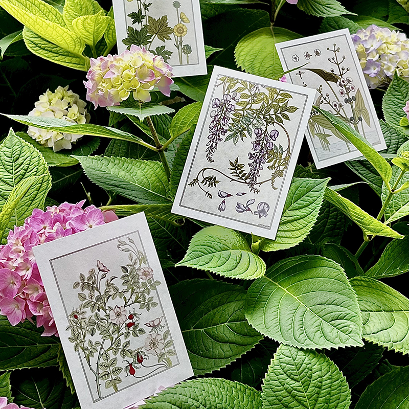 復古藝術館【自然而美:新藝術裝飾設計圖錄+萬物有文:新藝術植物裝飾】全兩冊 復古藝術館【自然而美:新藝術裝飾設計圖錄+萬物有文:新藝術植物裝飾】全兩冊