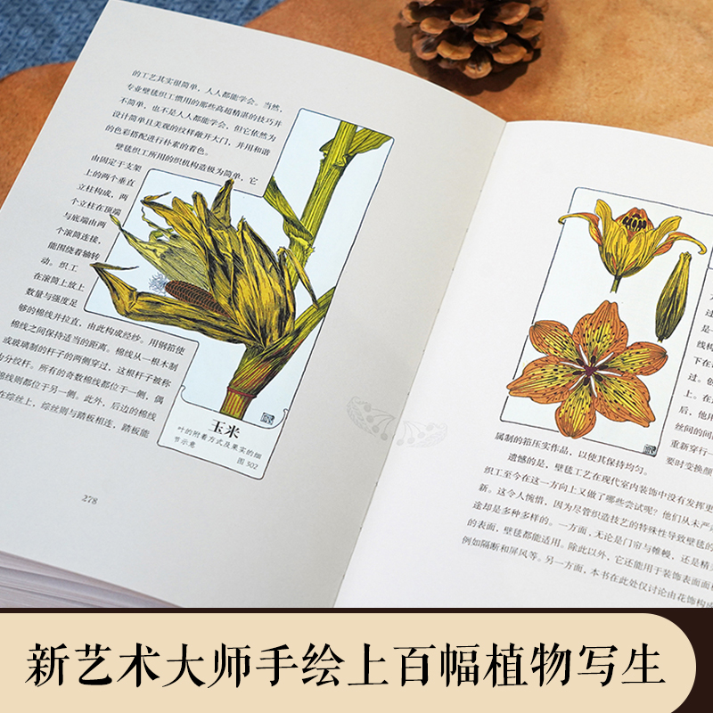 復古藝術館【自然而美:新藝術裝飾設計圖錄+萬物有文:新藝術植物裝飾】全兩冊 復古藝術館【自然而美:新藝術裝飾設計圖錄+萬物有文:新藝術植物裝飾】全兩冊