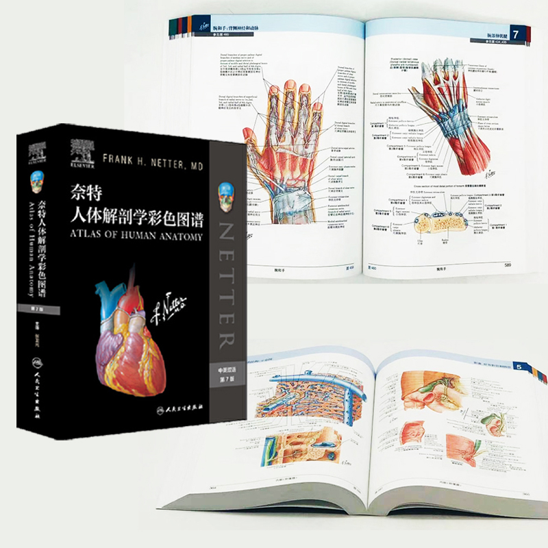 【正版】奈特人體解剖學彩色圖譜(第7版) 【正版】奈特人體解剖學彩色圖譜(第7版)