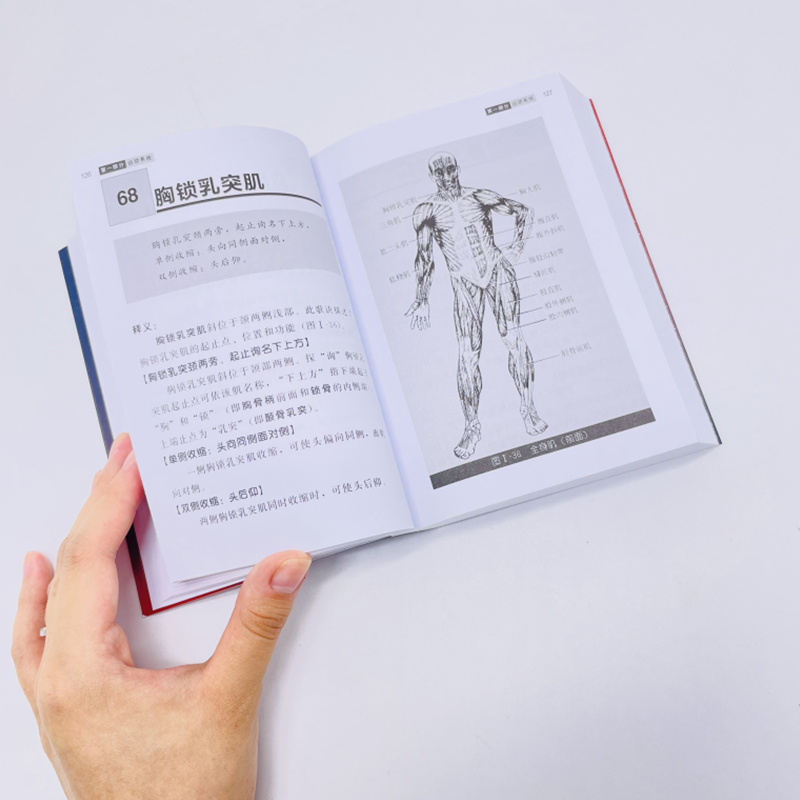 【正版】奈特人體解剖學彩色圖譜(第7版) 【正版】奈特人體解剖學彩色圖譜(第7版)