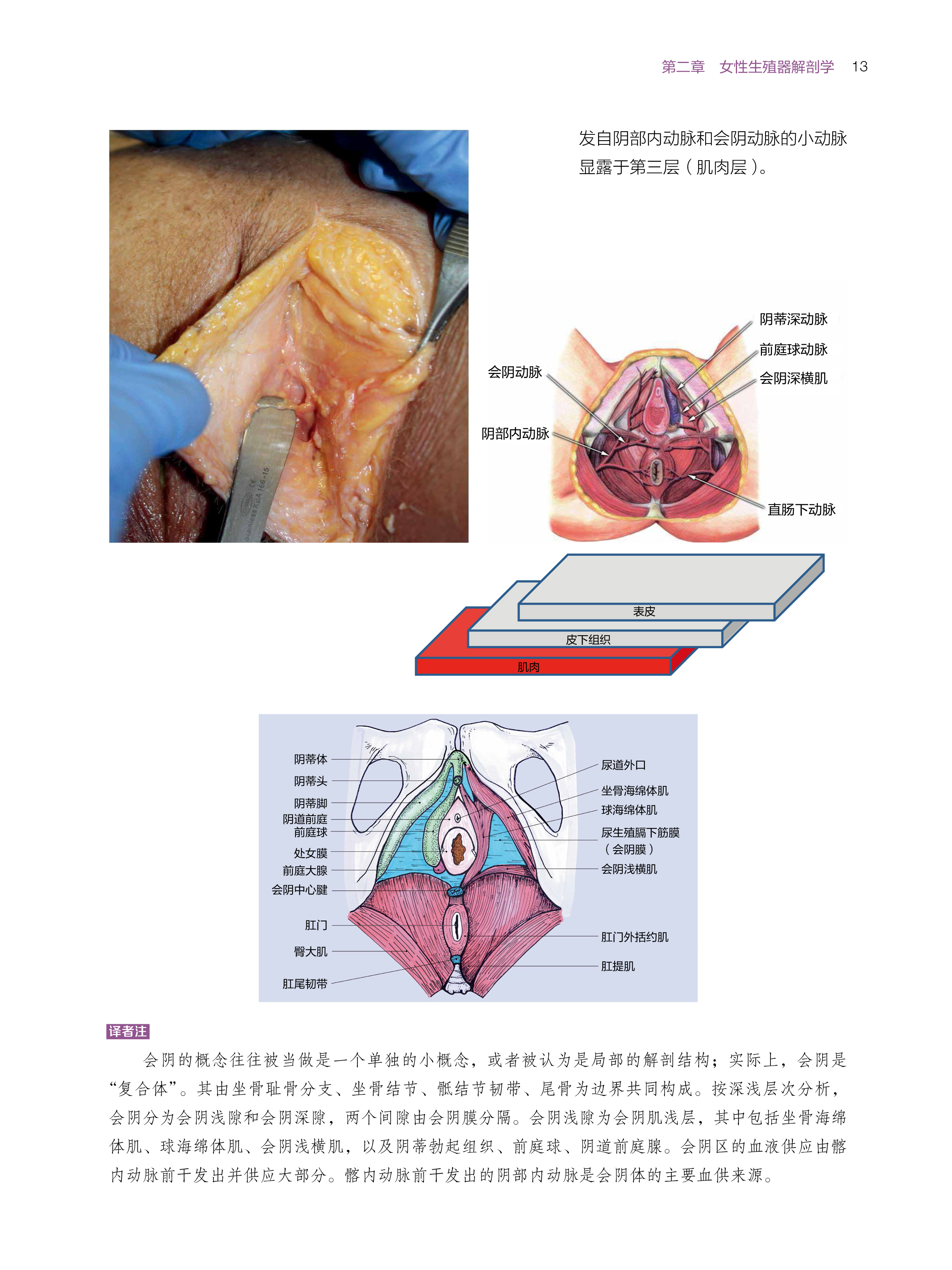 1690880800389029.jpg 在线4.jpg