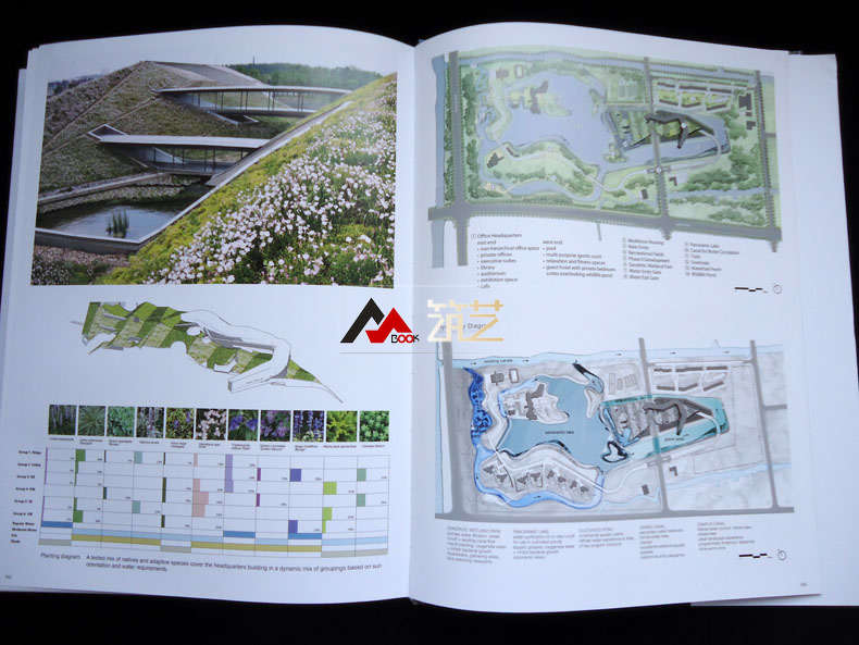 1693224313785173.jpg 详情-64.jpg