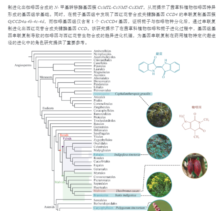 1695041238136427.jpg 详情9.jpg