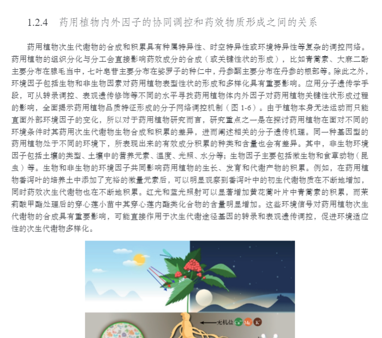 1695041241174551.jpg 详情10.jpg