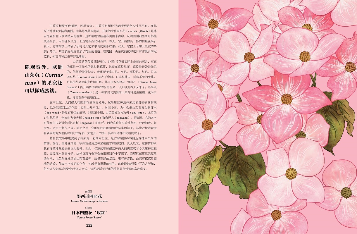 1696342935534718.jpg 摘5.jpg