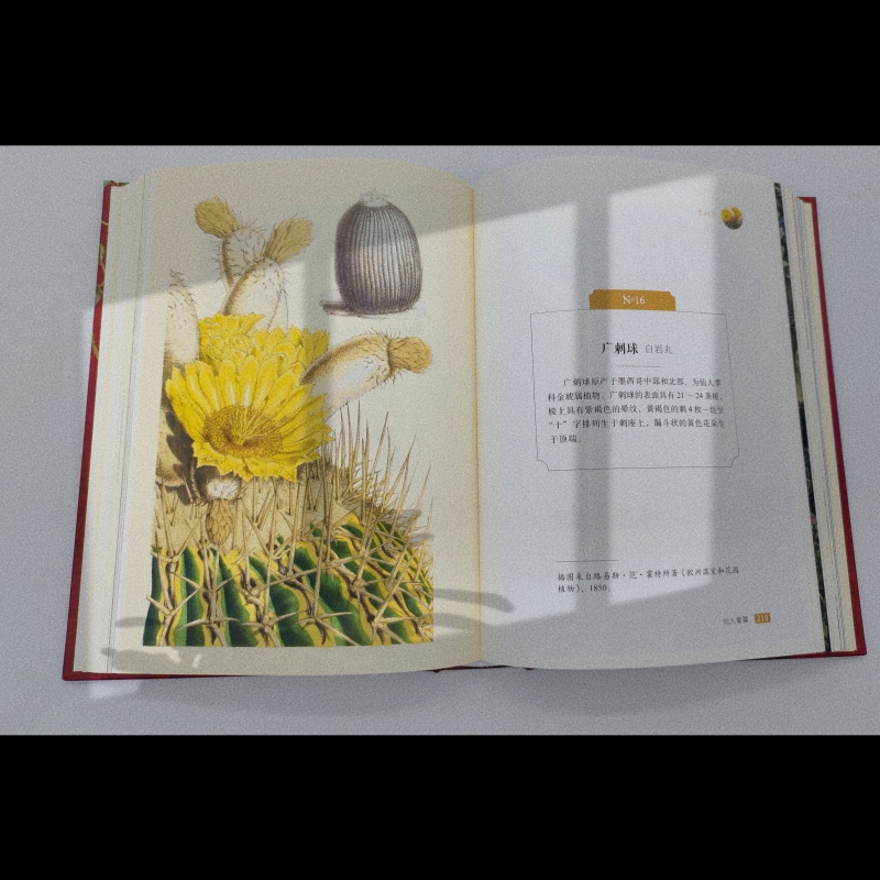 1697712523516527.jpg 实拍4.jpg