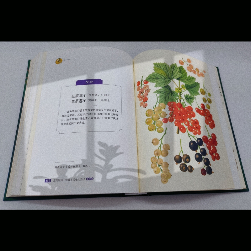 1697712533302977.jpg 实拍6.jpg