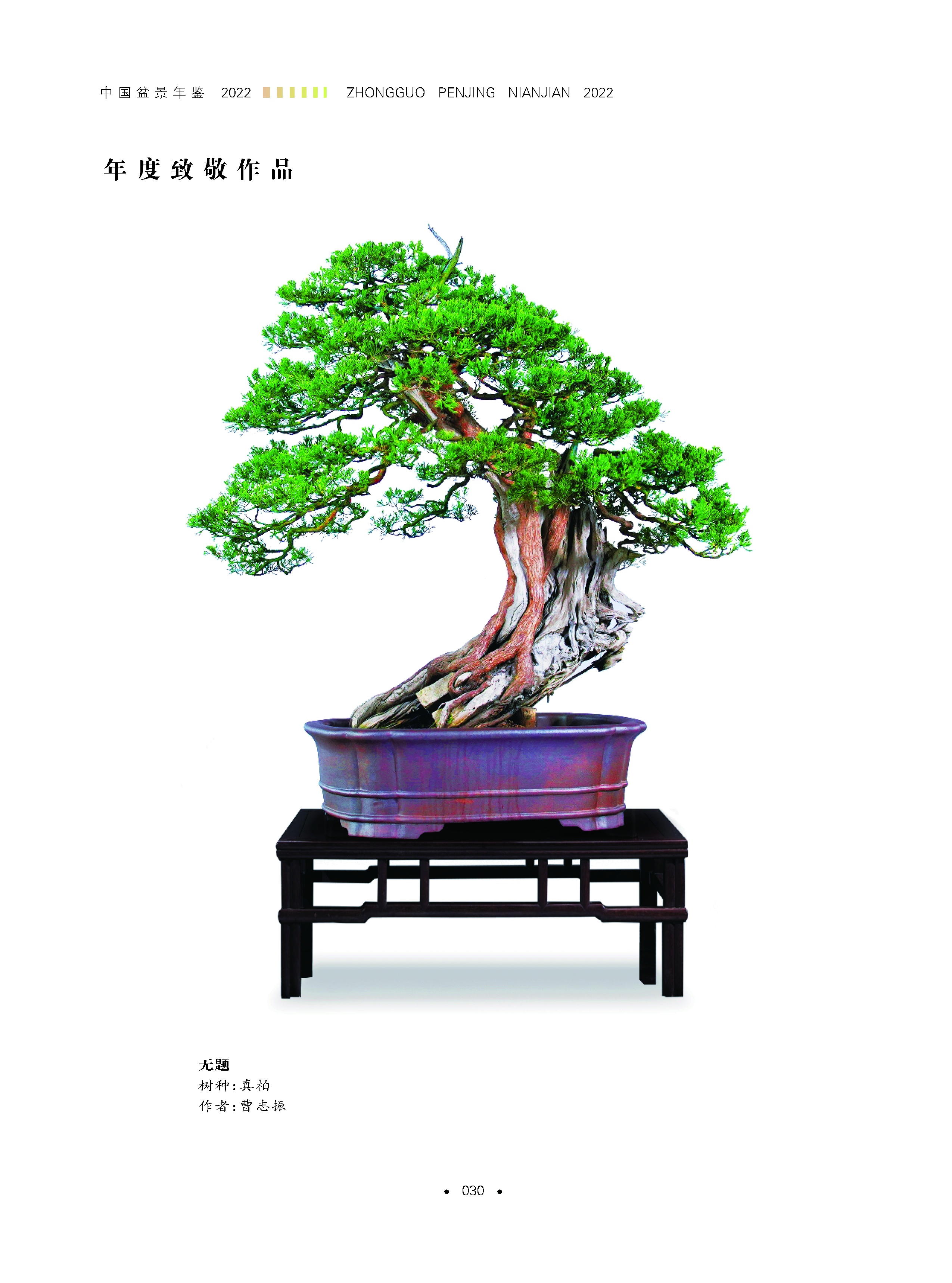 1698229366576678.jpg 详情4.jpg