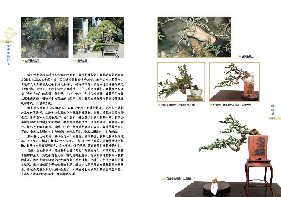 1698230900844701.jpg 盆景详情3.jpg