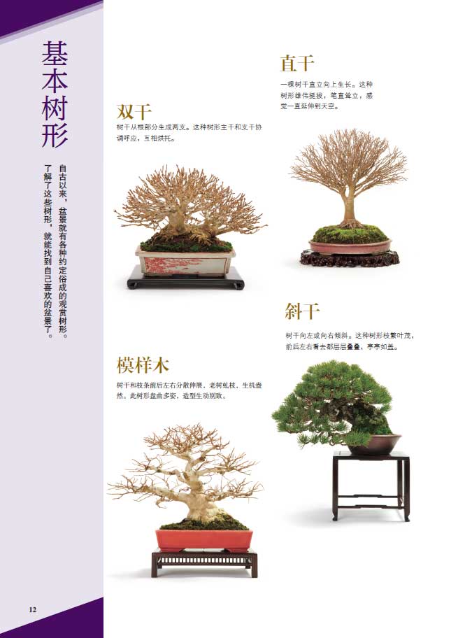 1698231106997887.jpg 树木详情1.jpg