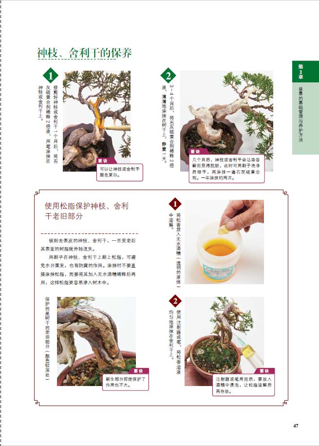 1698231128457810.jpg 树木详情6.jpg