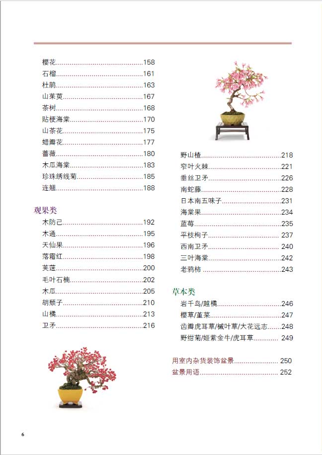 1698231185167320.jpg 树木目录3.jpg