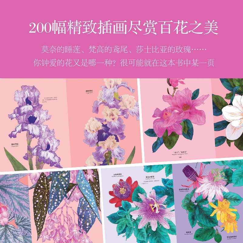 《花的姿態-畫筆下的繁花盛宴》典藏版 (澳)妮娜·魯索 著 《花的姿態-畫筆下的繁花盛宴》典藏版 (澳)妮娜·魯索 著