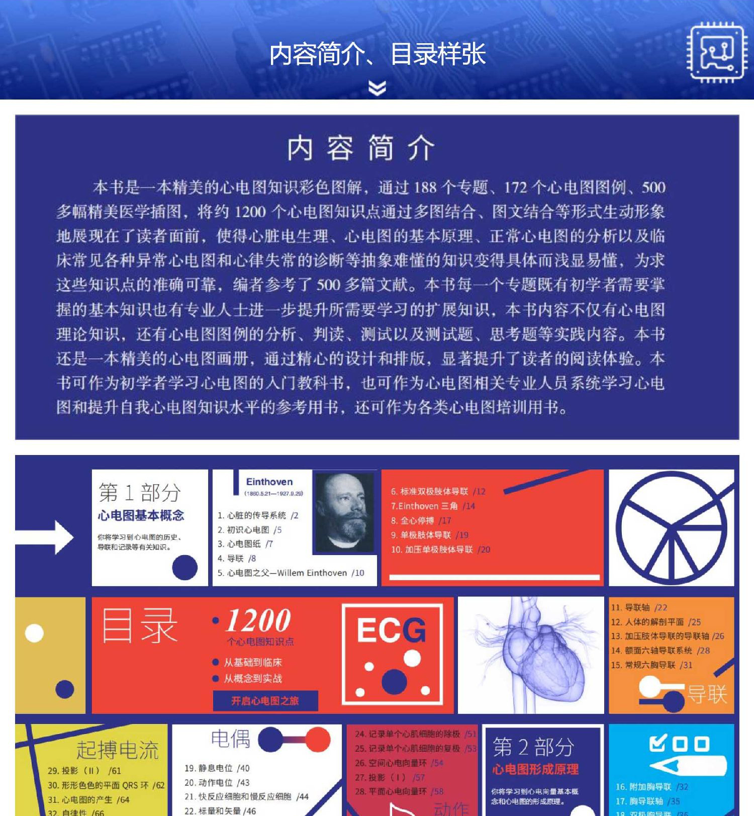 1700057152540097.jpg 详情-02.jpg