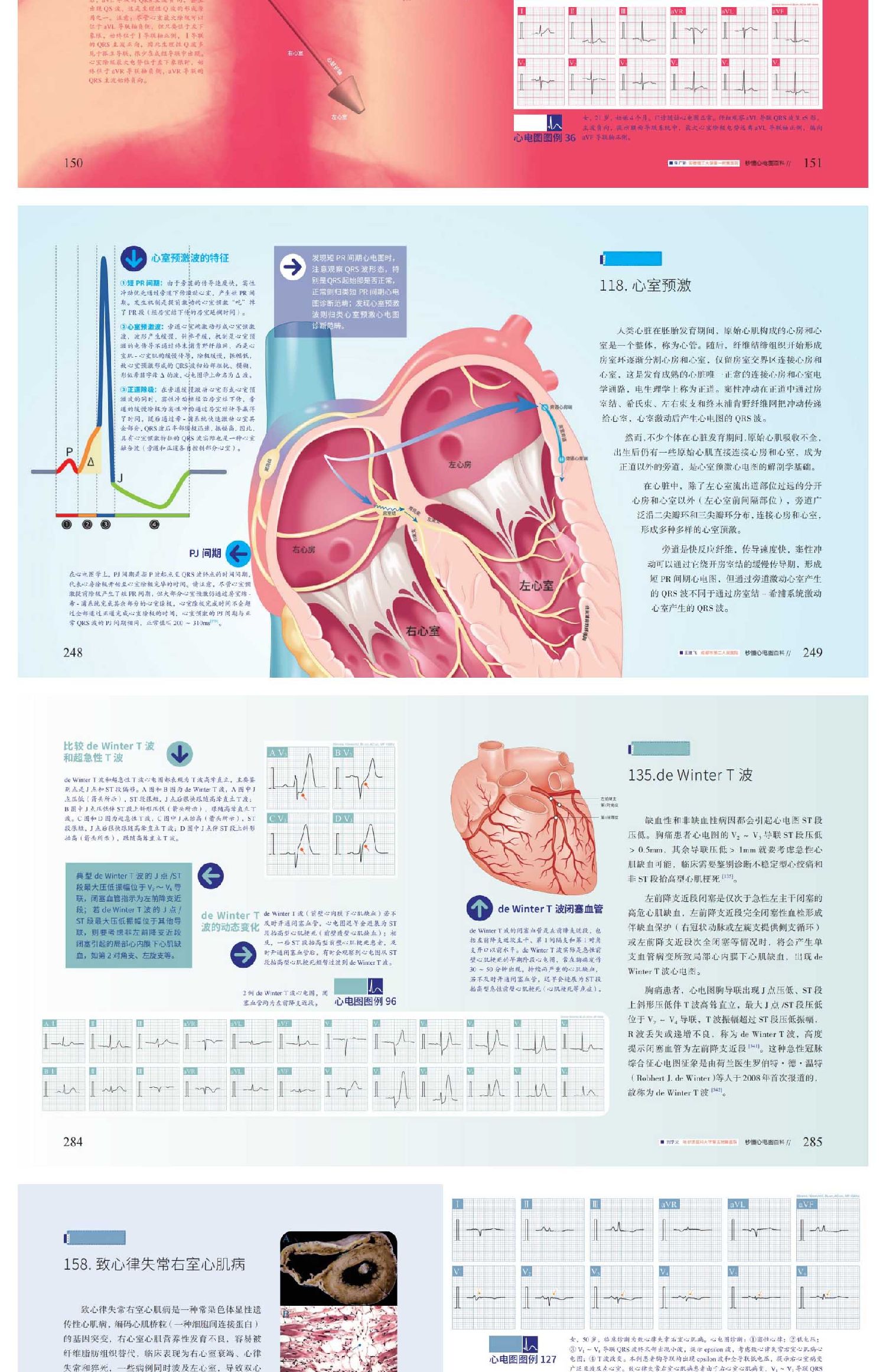1700057165609145.jpg 详情-05.jpg