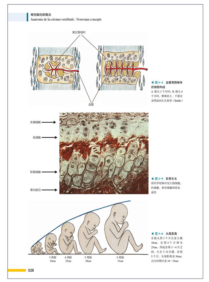1701267224870528.jpg 书摘6.jpg