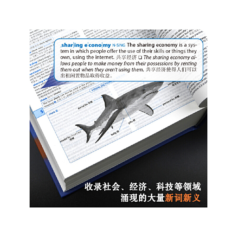 柯林斯COBUILD高階英漢雙解學習辭典(第9版) 柯林斯COBUILD高階英漢雙解學習辭典(第9版)