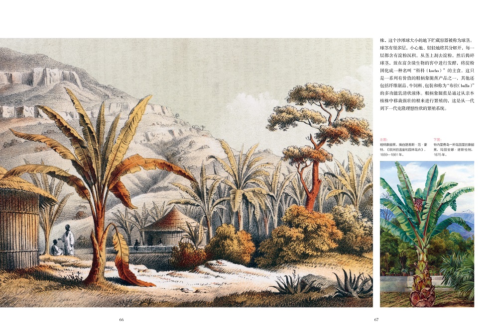 1702640521357769.jpg 书摘5.jpg