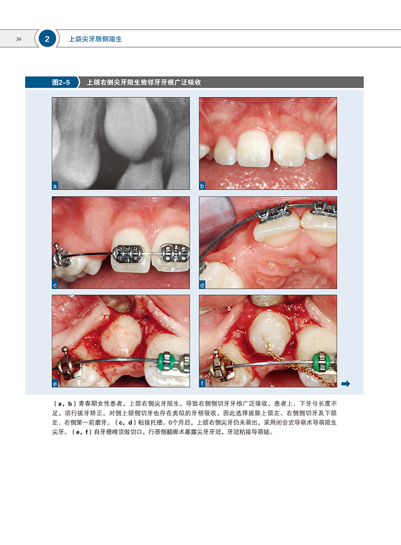 1702890538673226.jpg 书摘2.jpg