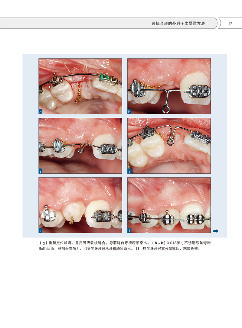 1702890543761085.jpg 书摘3.jpg
