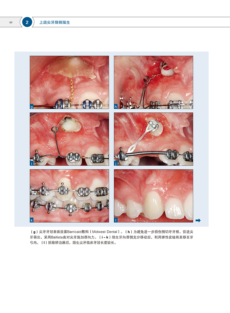 1702890556525124.jpg 书摘6.jpg