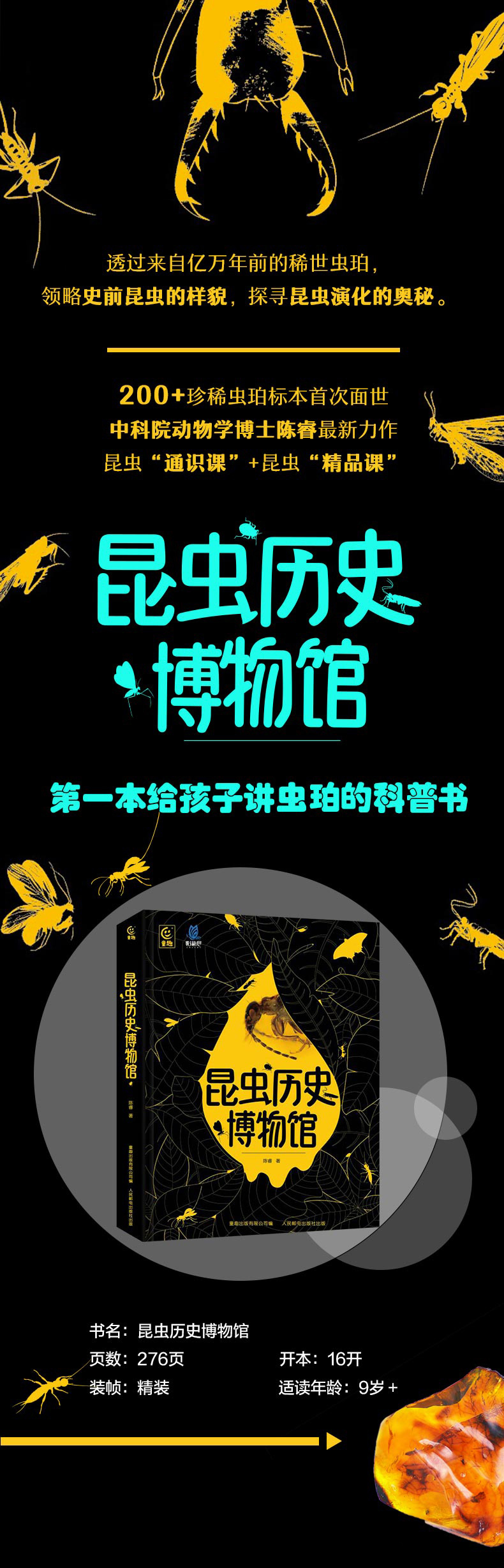 1703078865587314.jpg 详情2.jpg