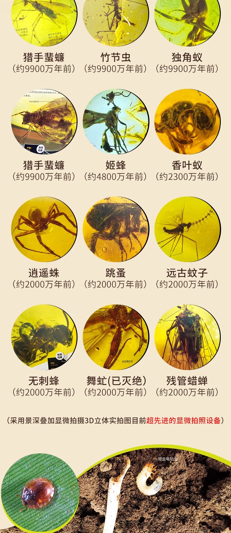 1703078876577625.jpg 详情8.jpg