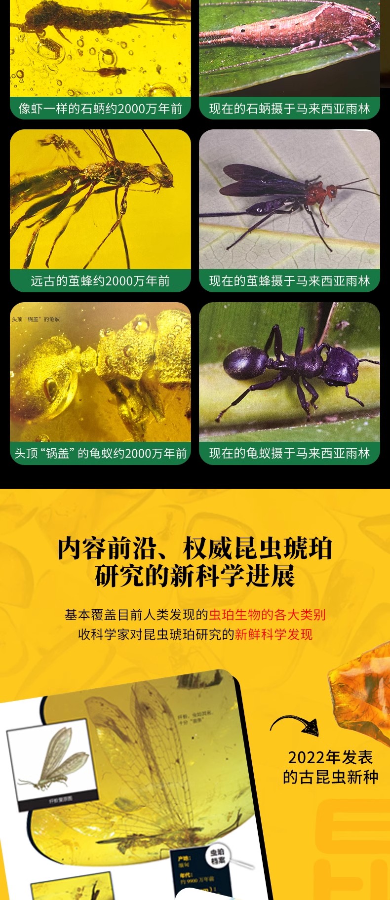 1703078897712654.jpg 详情12.jpg