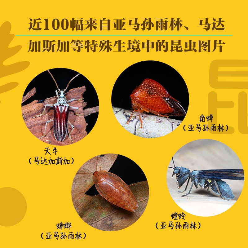 昆蟲歷史博物館+不可思議的昆蟲大書(全兩冊) 昆蟲歷史博物館+不可思議的昆蟲大書(全兩冊)