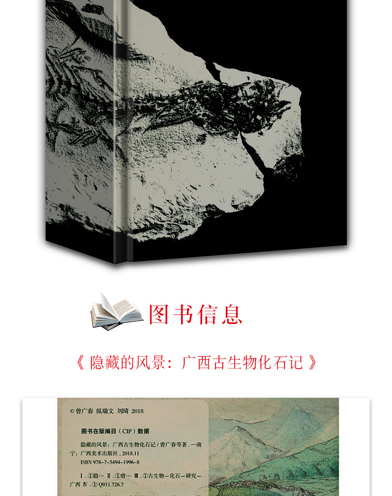 1704263088772955.jpg 详情-03.jpg