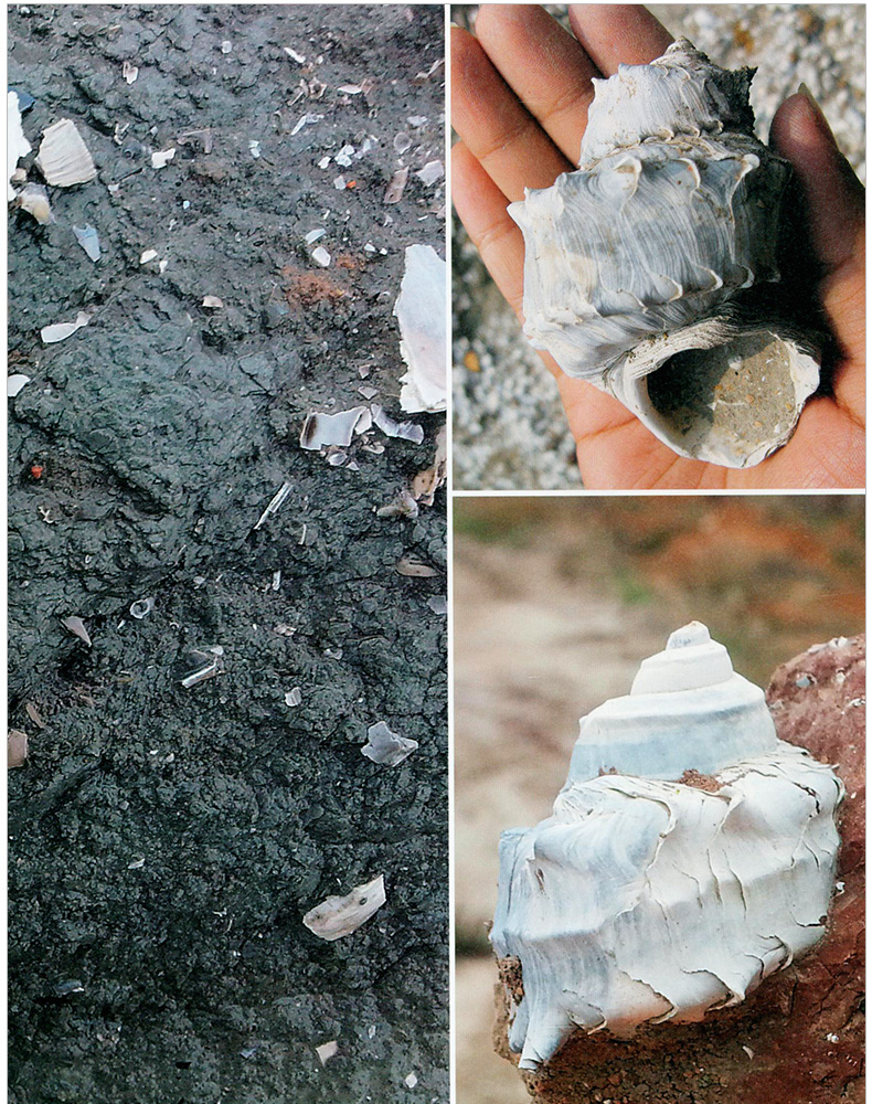 1704263109532209.jpg 详情-06.jpg