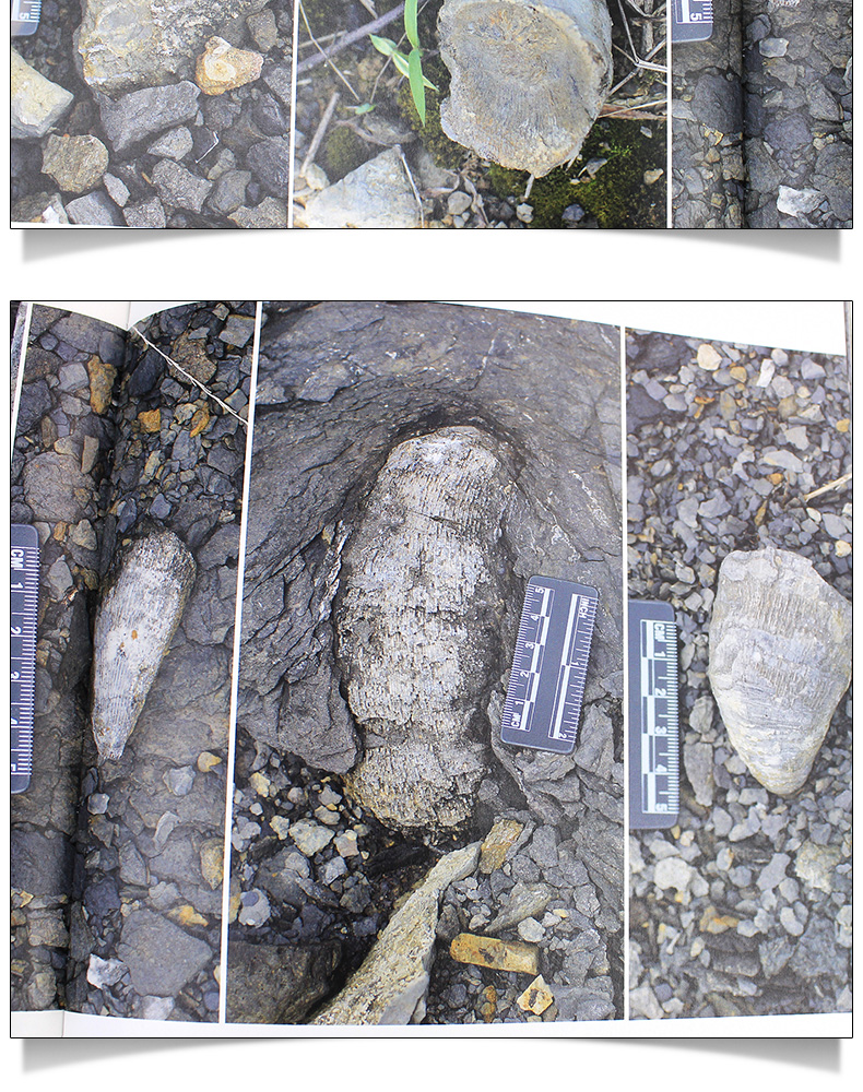 1704263158844743.jpg 详情-13.jpg