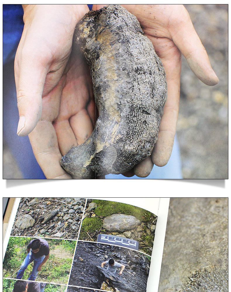 1704263162929295.jpg 详情-14.jpg