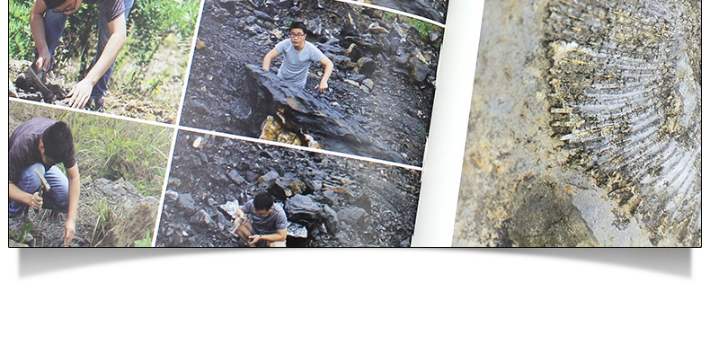 1704263166663004.jpg 详情-15.jpg