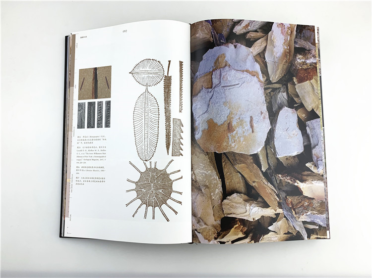 1704265454855449.jpg 书摘1.jpg