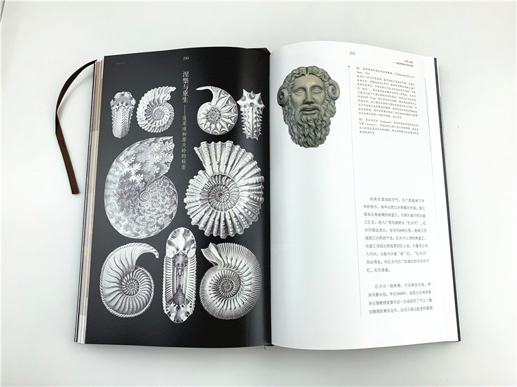 1704265501961841.jpg 书摘4.jpg