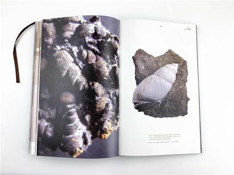 1704265508823542.jpg 书摘6.jpg